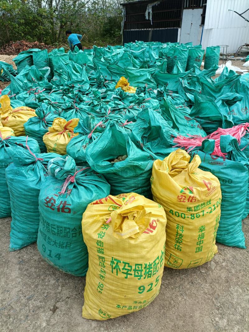 三棱中药材