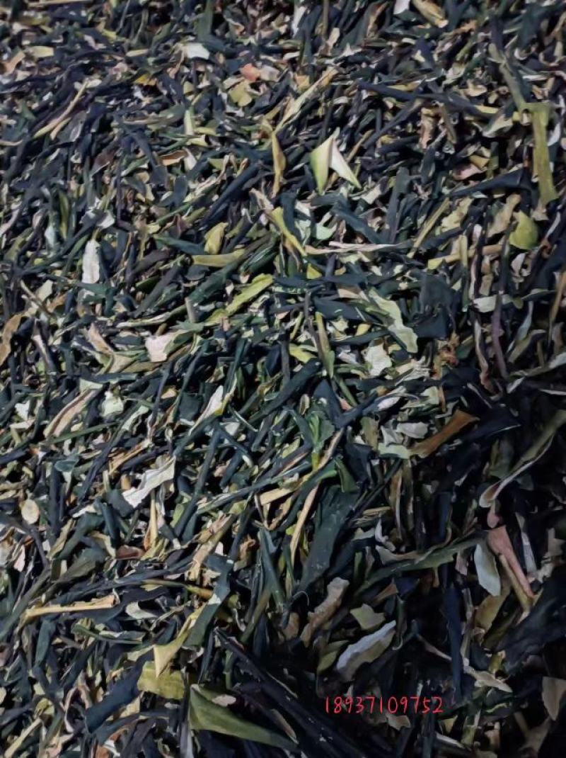 冬瓜子纯双边单边白色无杂/干度好/产地大货/量大价优