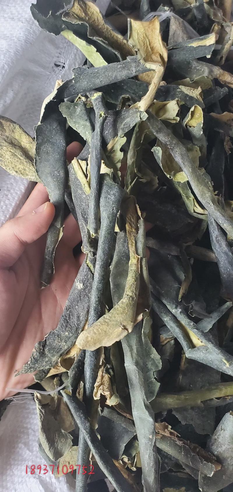 冬瓜子纯双边单边白色无杂/干度好/产地大货/量大价优