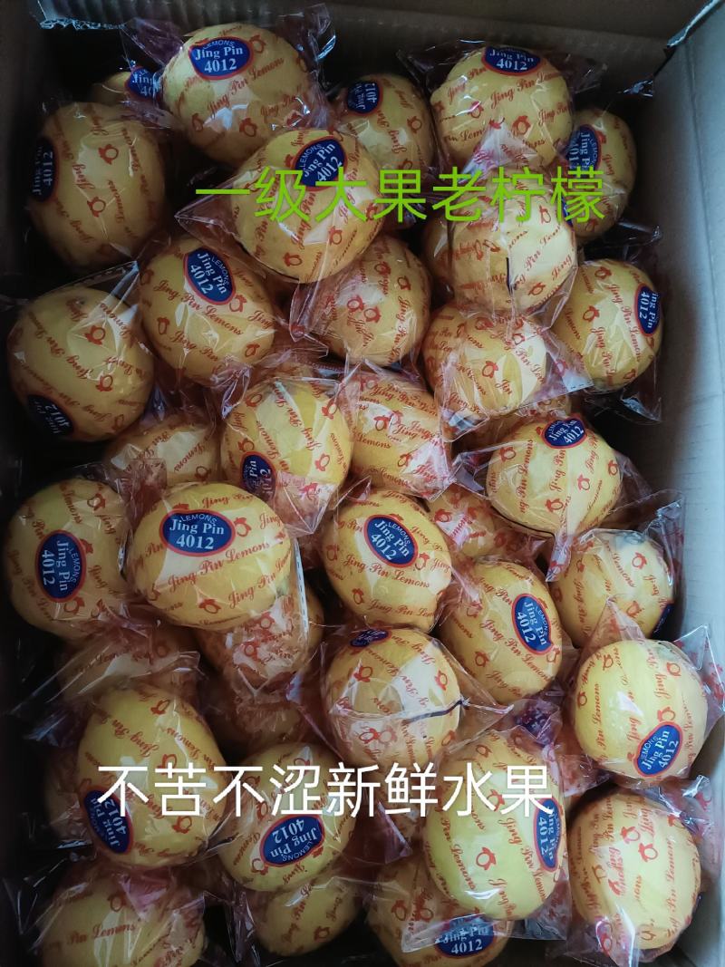 安岳柠檬一二级老果产地直供货颗粒饱满皮薄汁多＿件代发