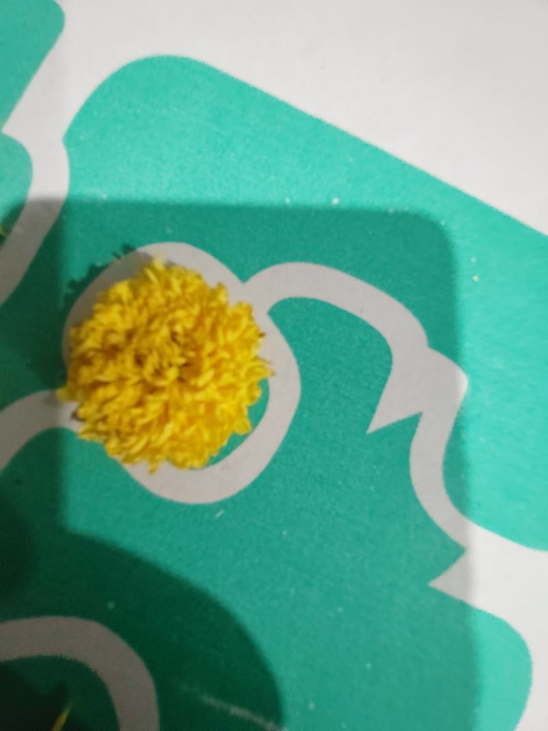 【大量供应】菊花茶婺源黄菊全国发货量大从优