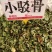 中药材小驳骨青绿新货靓货源充足，批发零售