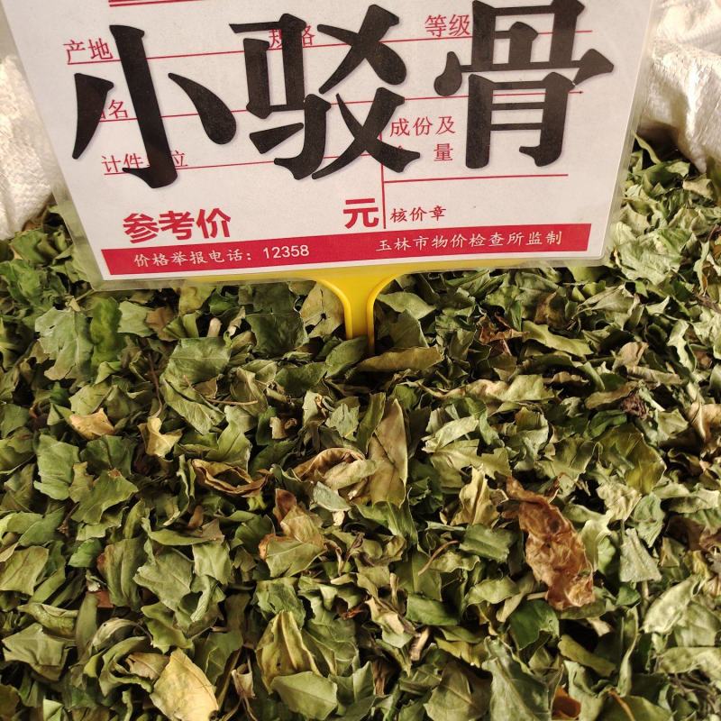 中药材小驳骨青绿新货靓货源充足，批发零售
