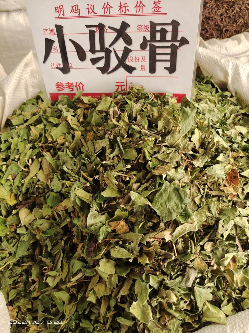 中药材小驳骨青绿新货靓货源充足，批发零售