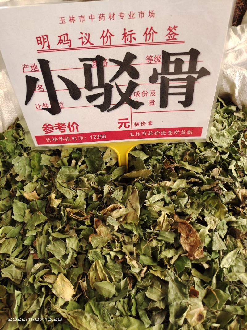 中药材小驳骨青绿新货靓货源充足，批发零售