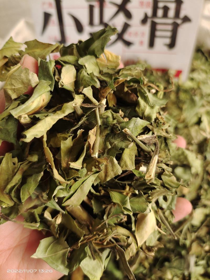 中药材小驳骨青绿新货靓货源充足，批发零售