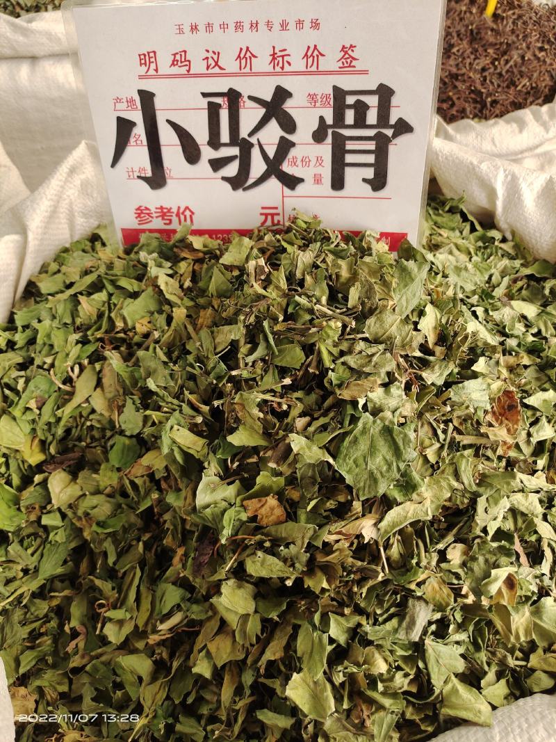中药材小驳骨青绿新货靓货源充足，批发零售