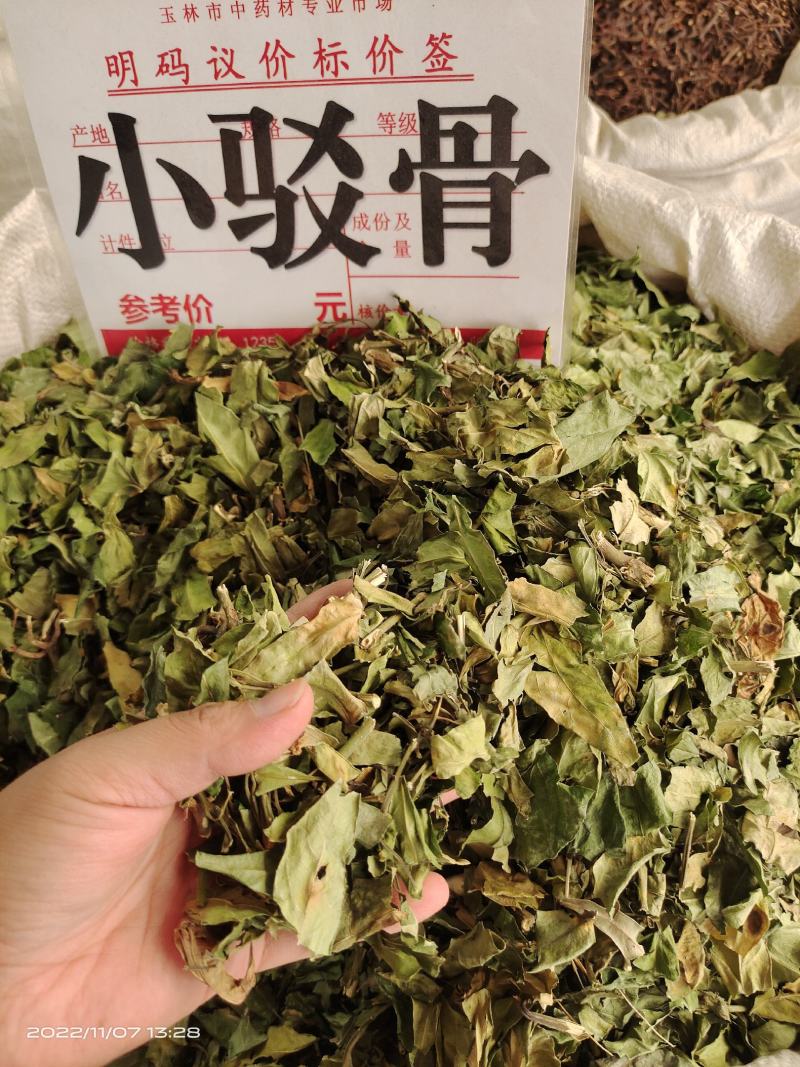 中药材小驳骨青绿新货靓货源充足，批发零售