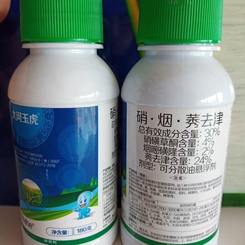 大河玉虎24%硝磺草酮烟嘧磺隆莠去津玉米除草剂苗后农