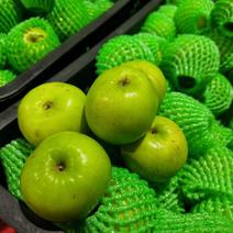 云南西双版纳苹果枣大量上市，和少量青枣，需要的老板来对接