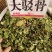 中药材大驳骨新货青绿货源充足保证质量