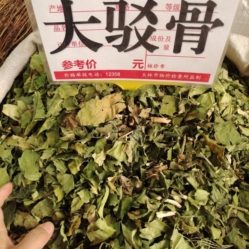 中药材大驳骨新货青绿货源充足保证质量