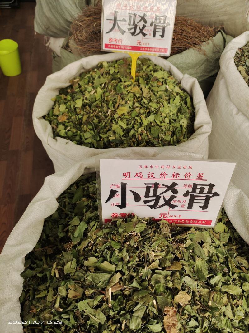 中药材大驳骨新货青绿货源充足保证质量