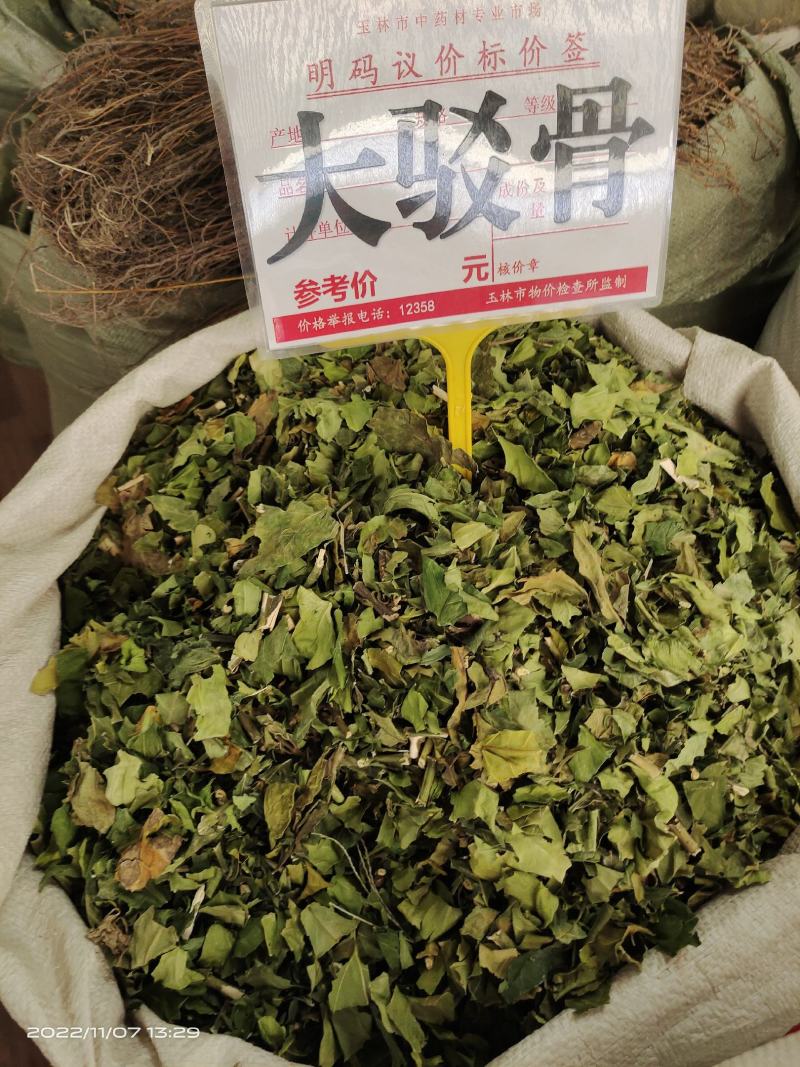 中药材大驳骨新货青绿货源充足保证质量