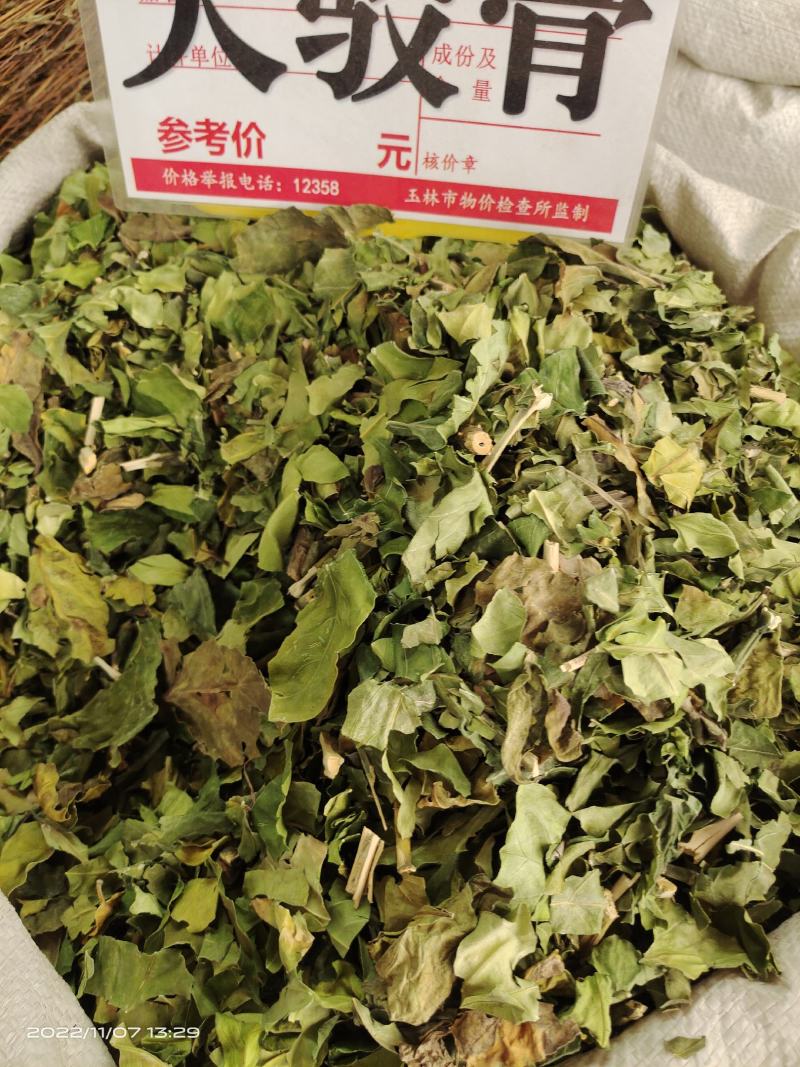 中药材大驳骨新货青绿货源充足保证质量