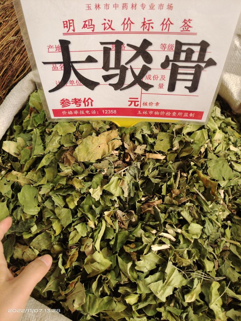 中药材大驳骨新货青绿货源充足保证质量
