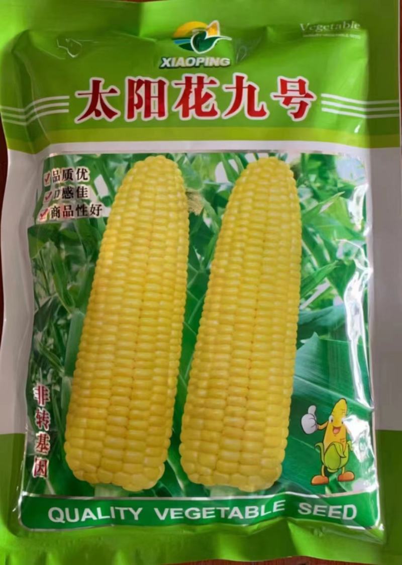 超标太阳花甜玉米与糯玉米