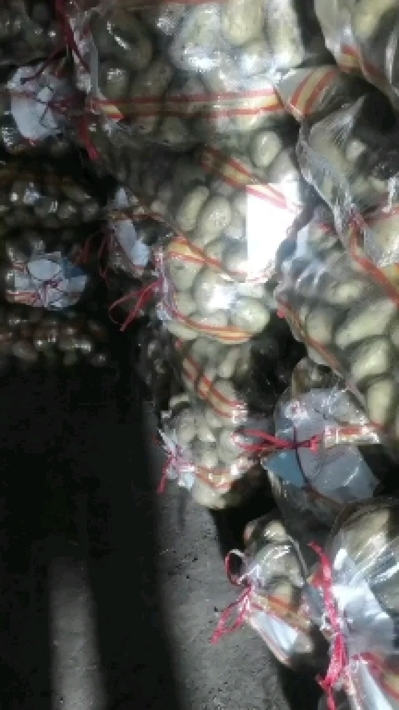 v7.黄金薯.沃土.兴佳