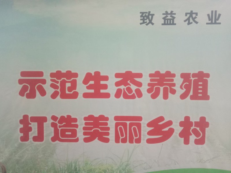 蛙稻鳅综合套养模式，八年养殖经验，免费送货上门