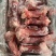 （源头工厂发货）金锣后筒骨，精品后筒骨，湖南长沙猪副产品批发