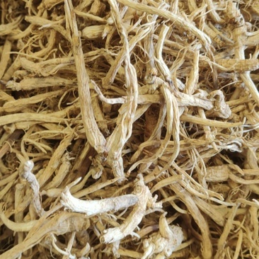 特价小人参价格优惠质量好