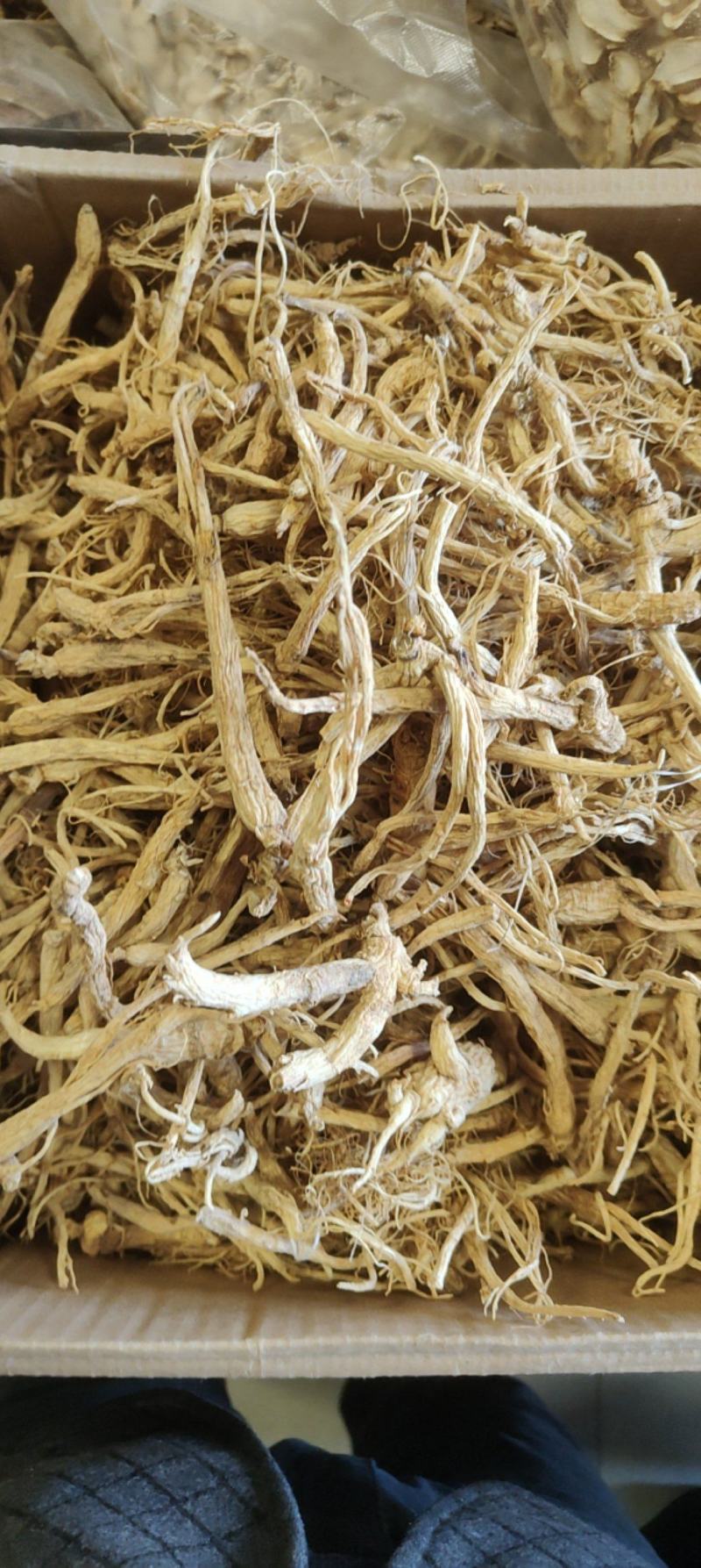 特价小人参价格优惠质量好