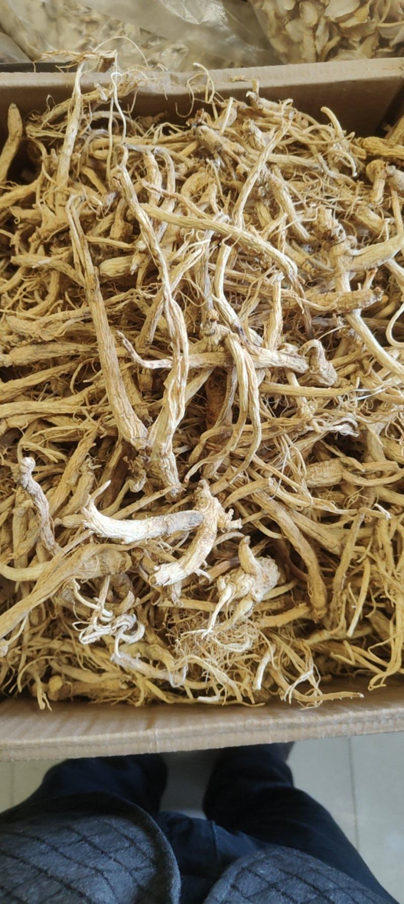 特价小人参价格优惠质量好