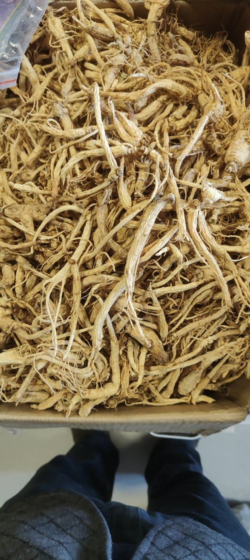 特价小人参价格优惠质量好