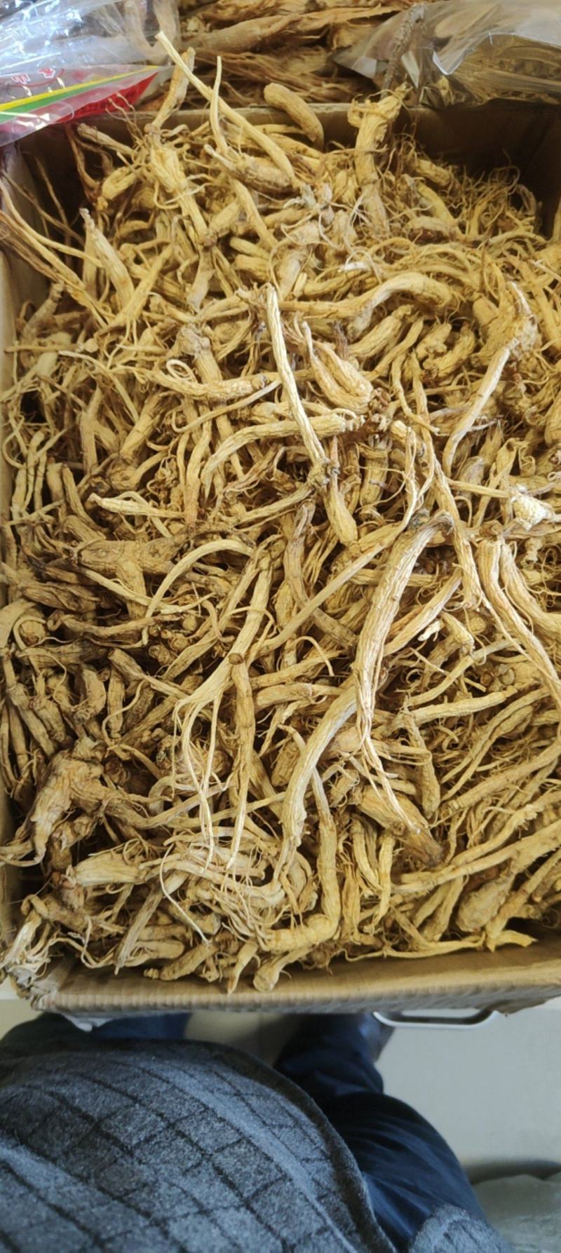特价小人参价格优惠质量好