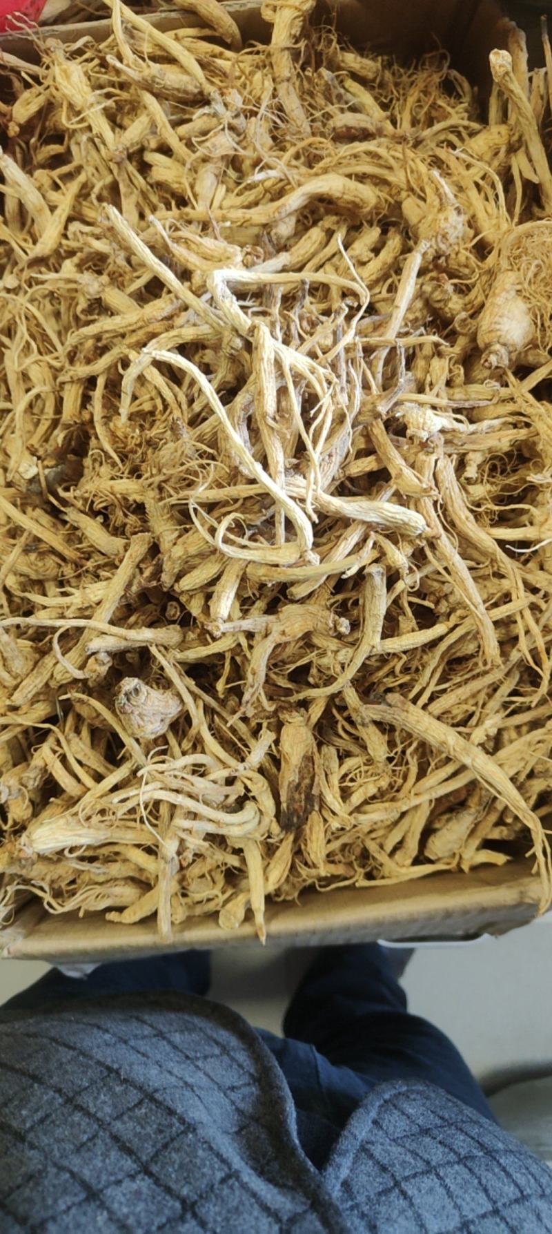 特价小人参价格优惠质量好