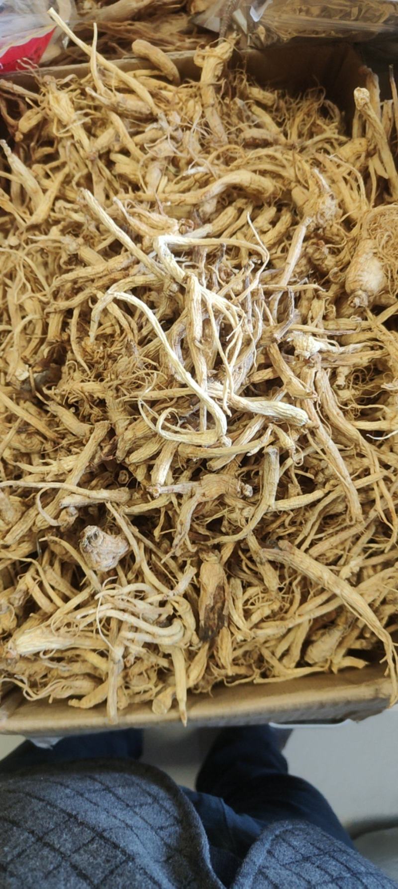 特价小人参价格优惠质量好