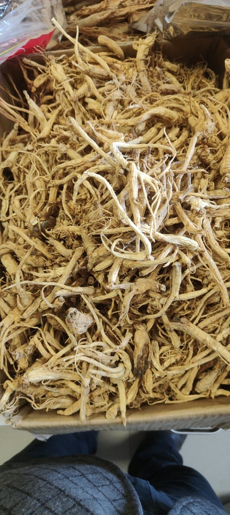 特价小人参价格优惠质量好