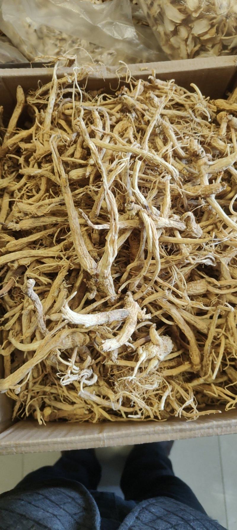 特价小人参价格优惠质量好