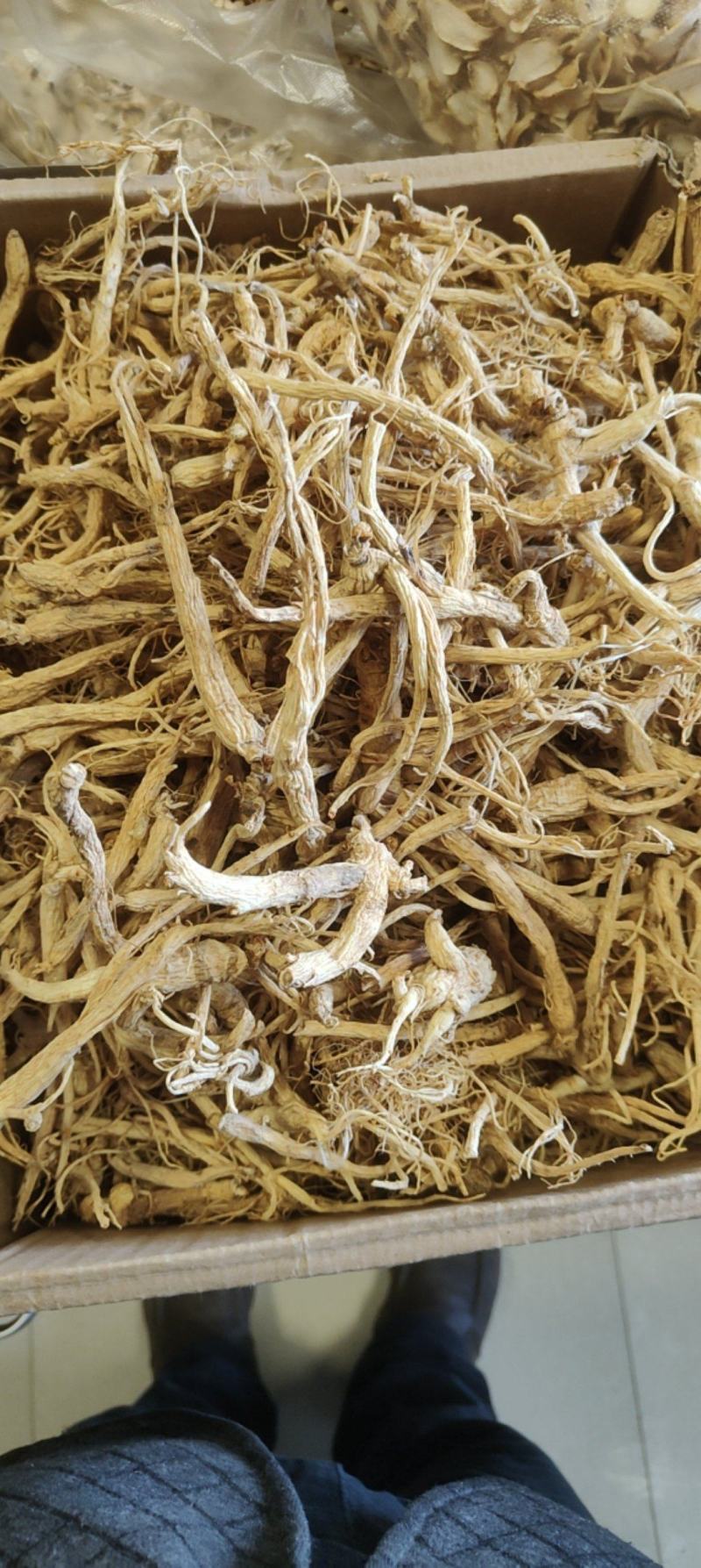 特价小人参价格优惠质量好