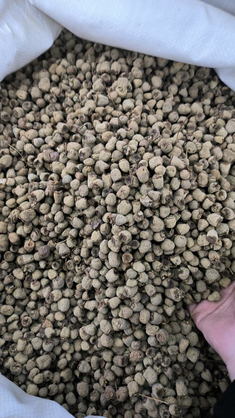 覆盆子中药材复盆子干覆盘子干泡酒无硫新货货源充足
