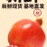 临猗坡上新疆大籽，北畔甜石榴