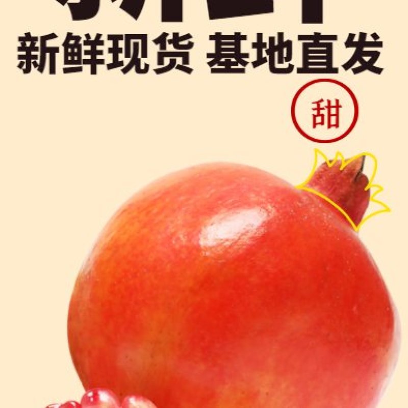 临猗坡上新疆大籽，北畔甜石榴