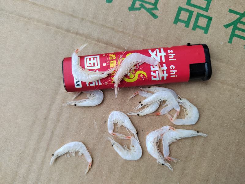 虾皮厂家直供！可定制加工！手续齐全！支持一件代发！