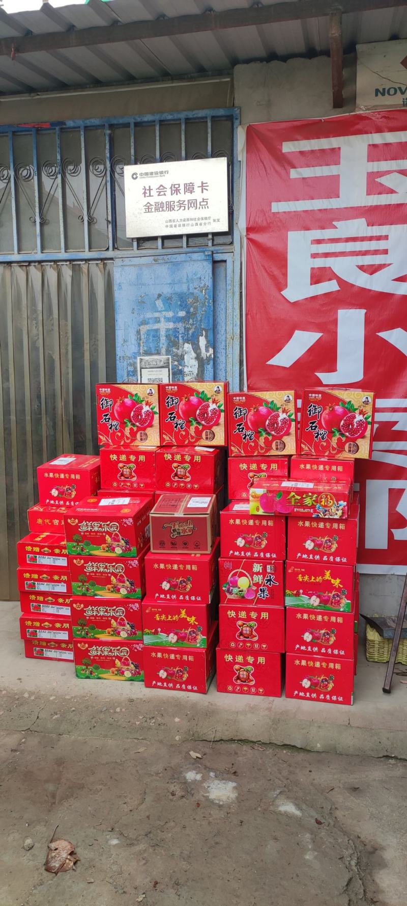 临猗坡上新疆大籽，北畔甜石榴