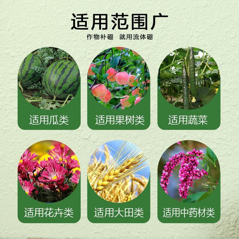 鲁丰速溶硼微量元素肥高含量硼肥蔬菜果树通用保花保果叶面肥