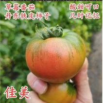 【包邮】草莓西红柿种子丹东铁皮柿子种籽佳美绿肩