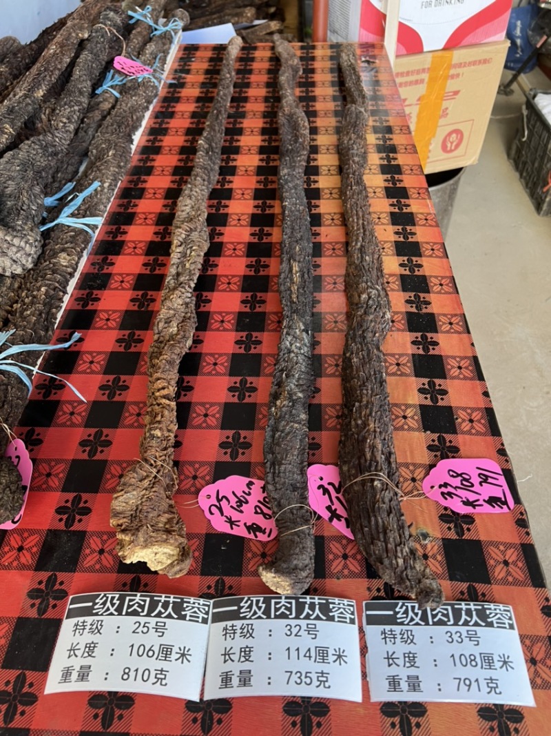 肉苁蓉单根700克大条阿拉善油苁蓉整根内蒙古发货