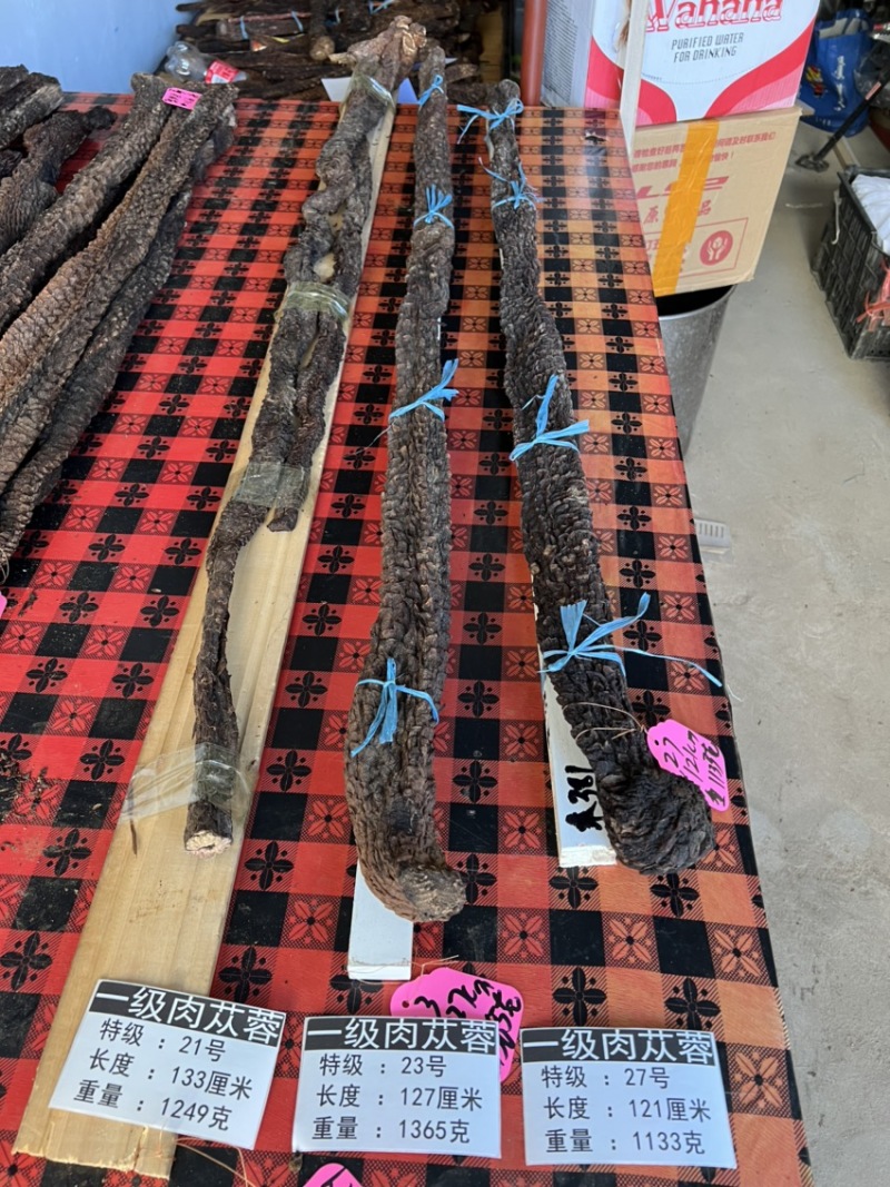 肉苁蓉单根700克大条阿拉善油苁蓉整根内蒙古发货
