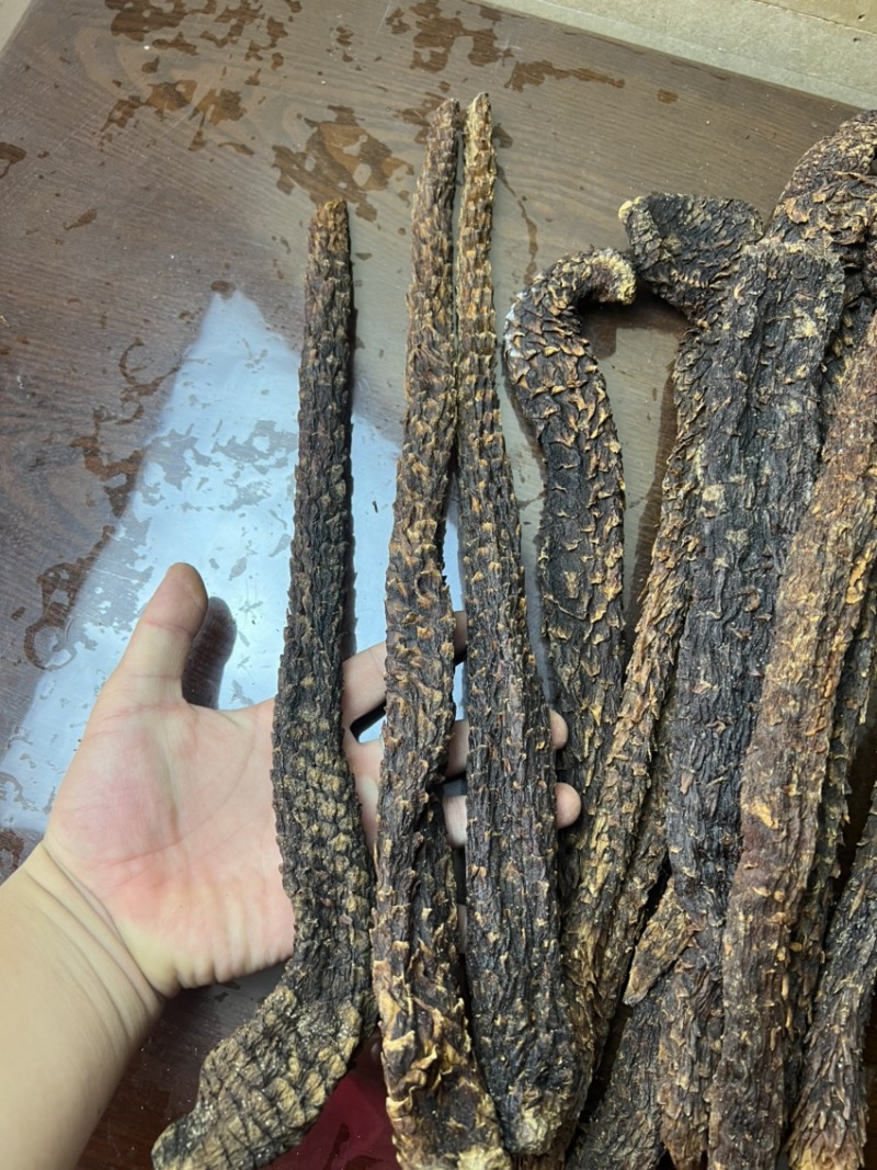 肉苁蓉整根3根一斤内蒙古发货阿拉善肉苁蓉整根非锁阳