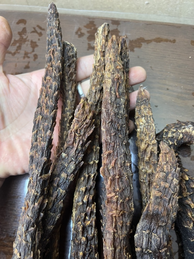 肉苁蓉整根3根一斤内蒙古发货阿拉善肉苁蓉整根非锁阳