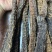 肉苁蓉整根3根一斤内蒙古发货阿拉善肉苁蓉整根非锁阳