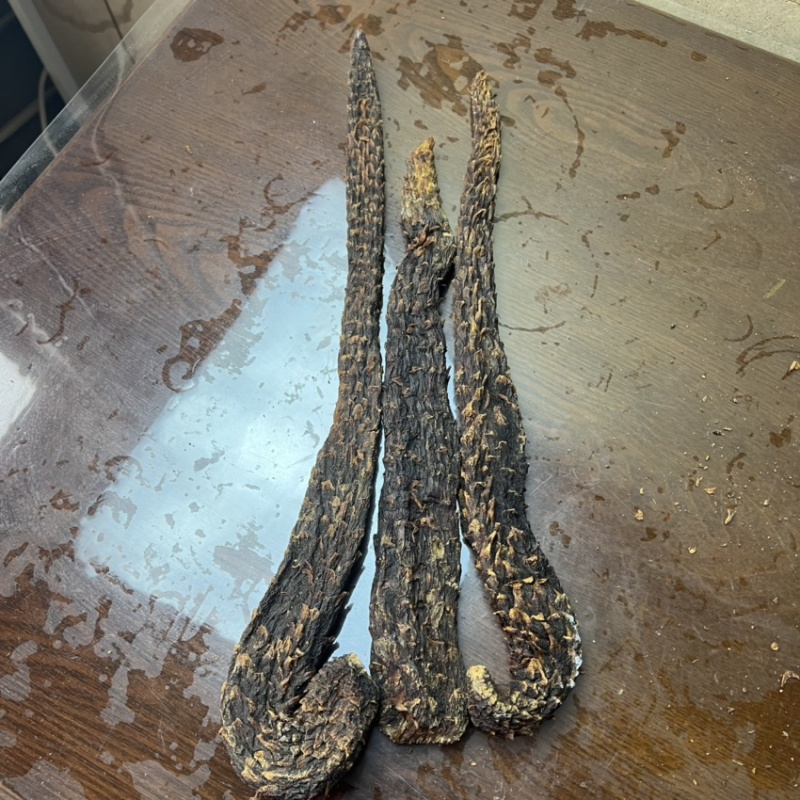 肉苁蓉整根3根一斤内蒙古发货阿拉善肉苁蓉整根非锁阳