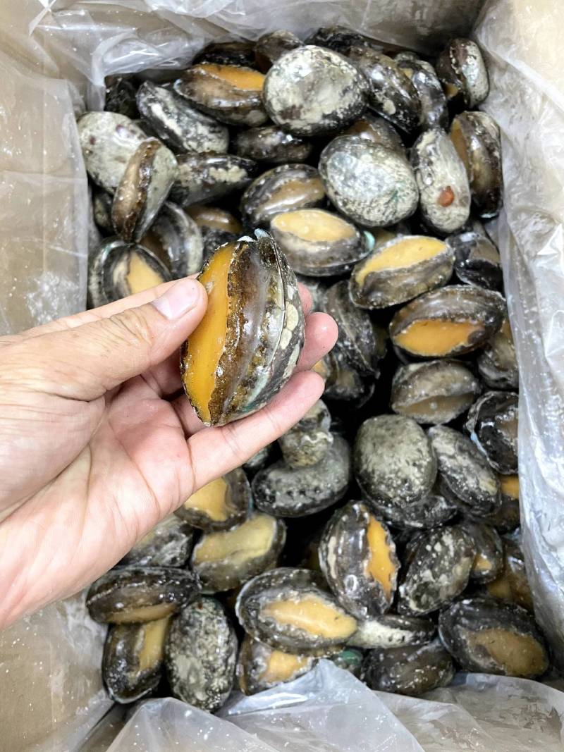 活冻鲍鱼【鲍鱼厂家】全国直发全规格稳定供货支持代工贴牌