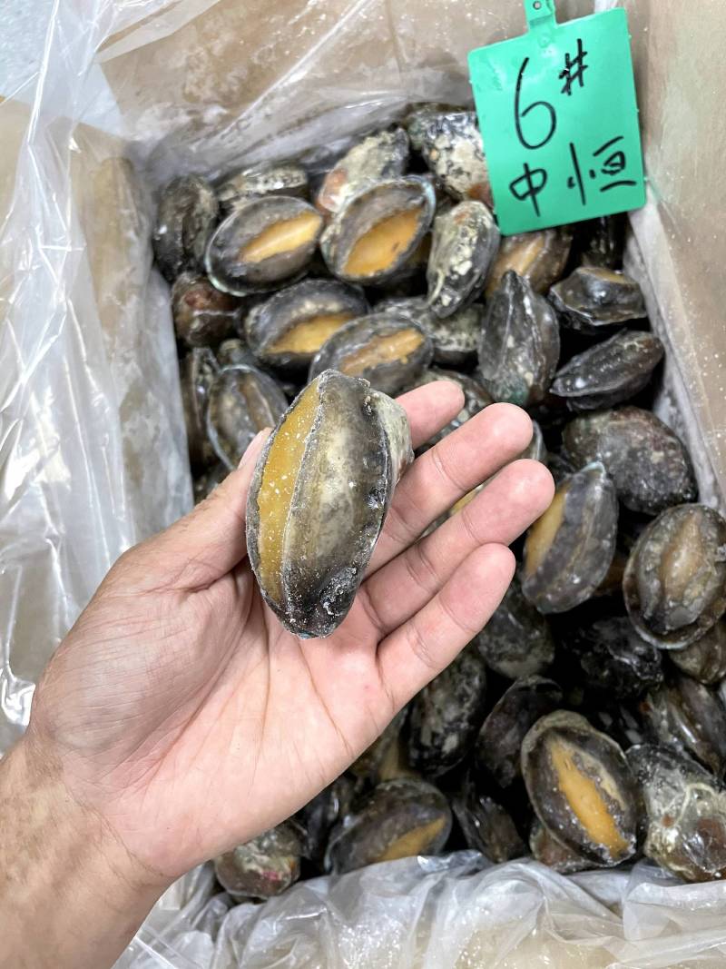 活冻鲍鱼【鲍鱼厂家】全国直发全规格稳定供货支持代工贴牌