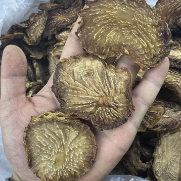 肉苁蓉鲜干片内蒙古阿拉善油切片泡茶非新疆